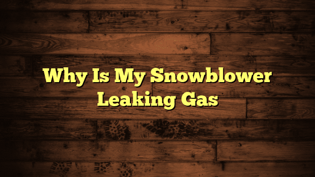 Why Is My Snowblower Leaking Gas
