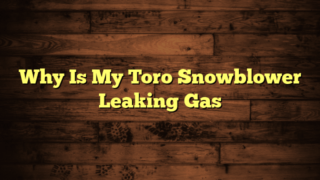 Why Is My Toro Snowblower Leaking Gas