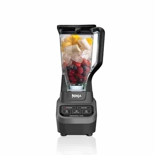 best fruit blenders