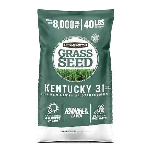 best lawn mower for tall fescue