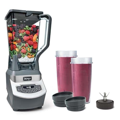 best blenders for smoothies and food processing