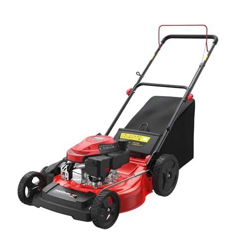 best lawn mower for bagging