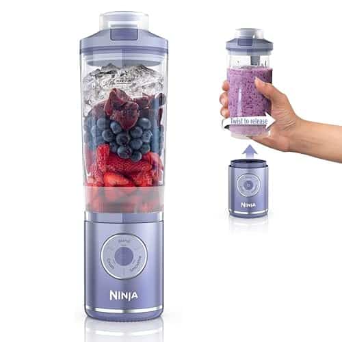 best on the go blenders