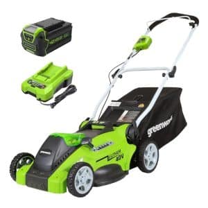 best lawn mower gas or electric
