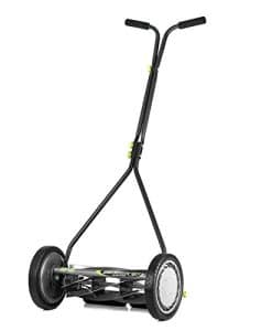 best lawn mower for zeon zoysia