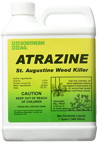 best lawn mower for st augustine grass
