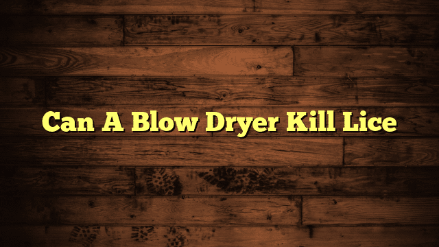 Can A Blow Dryer Kill Lice
