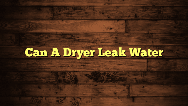 Can A Dryer Leak Water