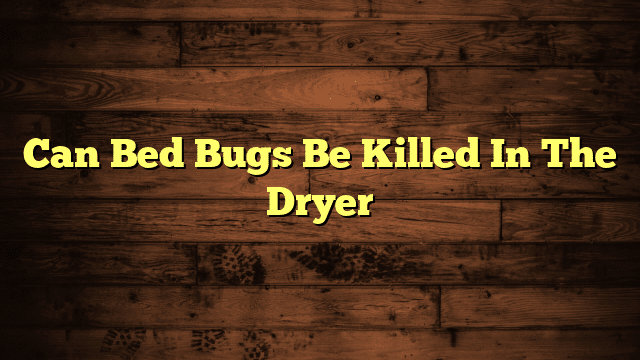 Can Bed Bugs Be Killed In The Dryer