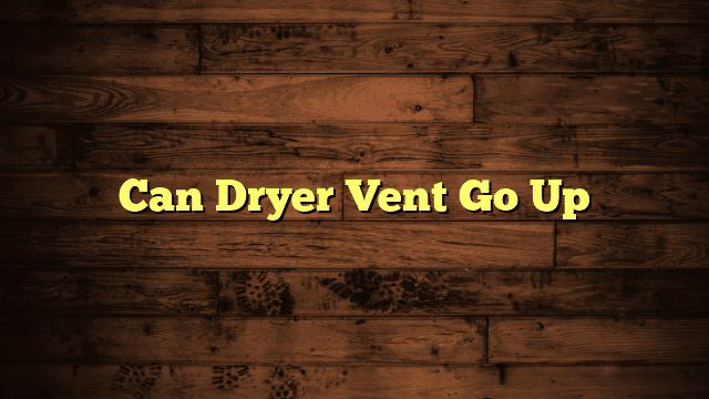 Can Dryer Vent Go Up
