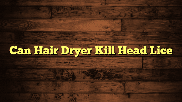 Can Hair Dryer Kill Head Lice