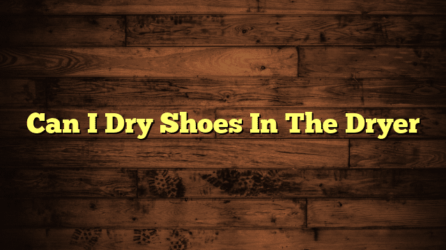 Can I Dry Shoes In The Dryer