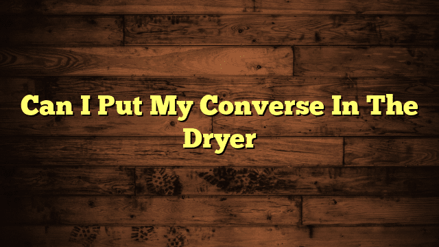 Can I Put My Converse In The Dryer