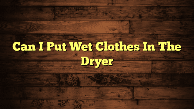 Can I Put Wet Clothes In The Dryer