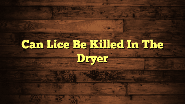 Can Lice Be Killed In The Dryer