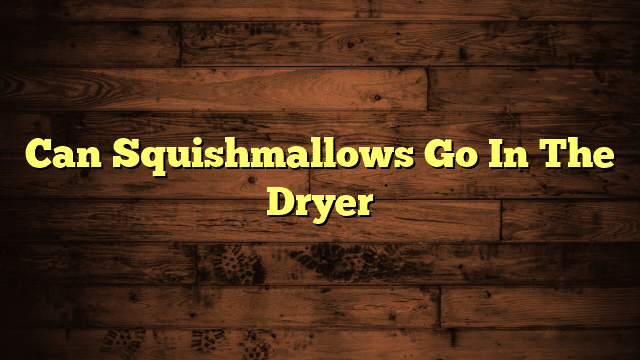 Can Squishmallows Go In The Dryer