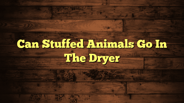 Can Stuffed Animals Go In The Dryer
