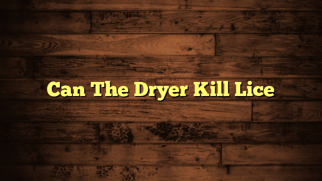 Can The Dryer Kill Lice