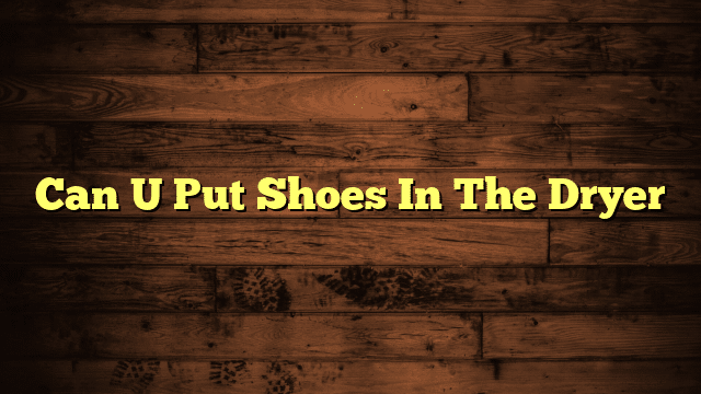 Can U Put Shoes In The Dryer