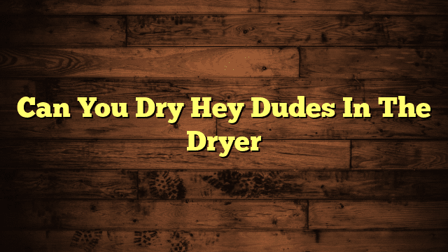 Can You Dry Hey Dudes In The Dryer