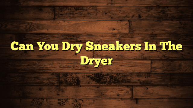 Can You Dry Sneakers In The Dryer