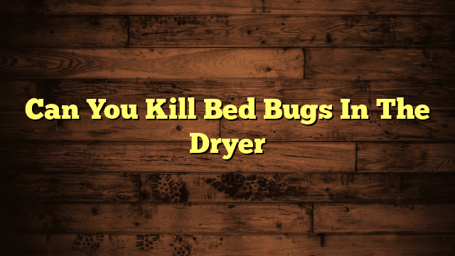 Can You Kill Bed Bugs In The Dryer
