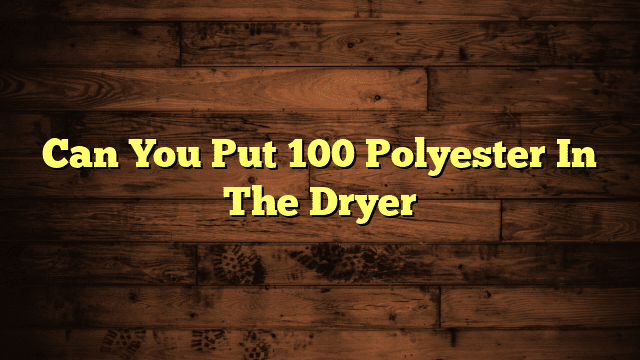 Can You Put 100 Polyester In The Dryer