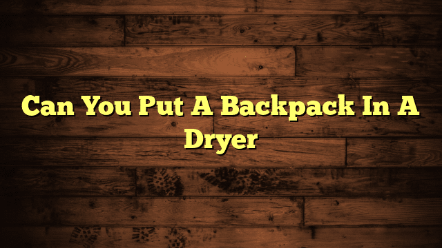 Can You Put A Backpack In A Dryer
