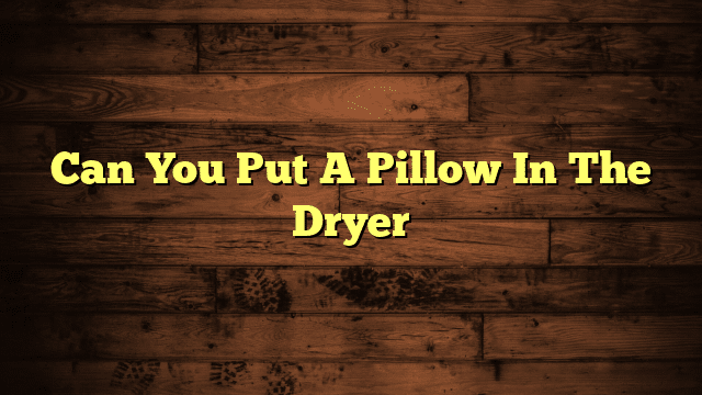 Can You Put A Pillow In The Dryer