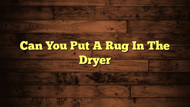 Can You Put A Rug In The Dryer