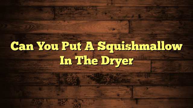 Can You Put A Squishmallow In The Dryer