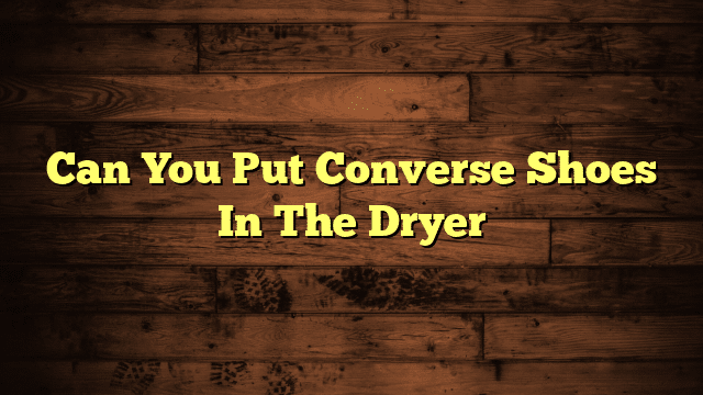 Can You Put Converse Shoes In The Dryer