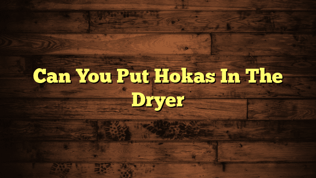Can You Put Hokas In The Dryer