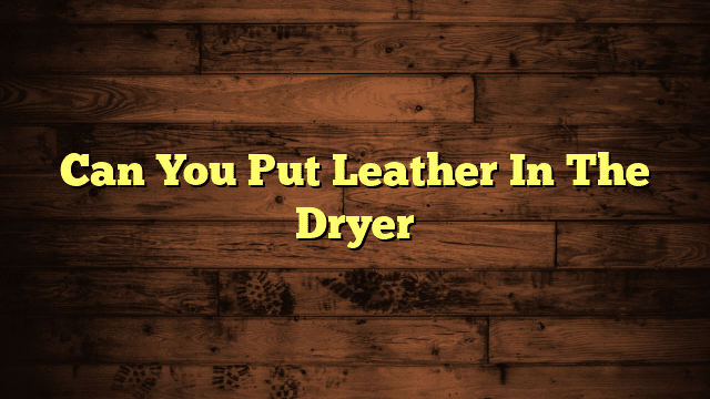 Can You Put Leather In The Dryer