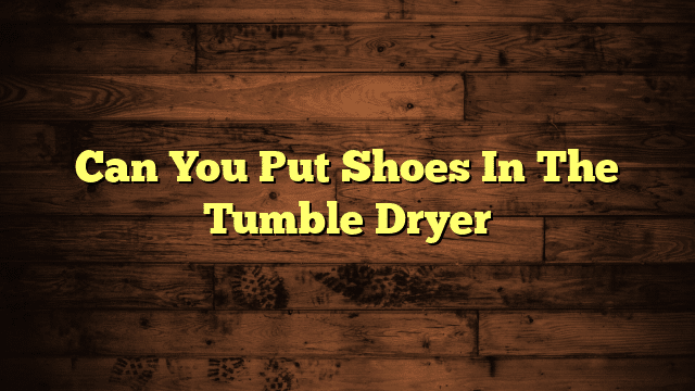 Can You Put Shoes In The Tumble Dryer