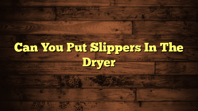 Can You Put Slippers In The Dryer