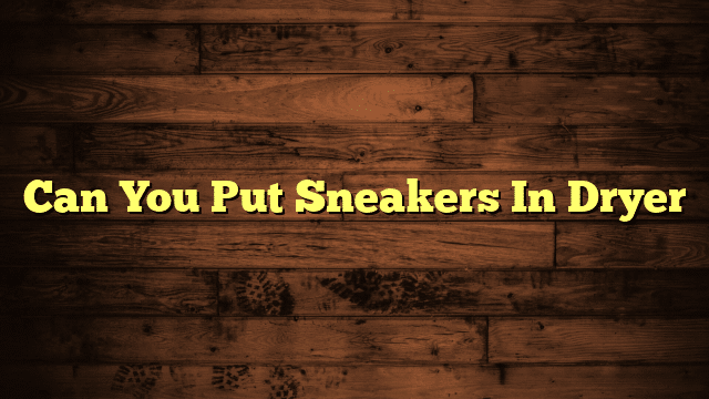 Can You Put Sneakers In Dryer