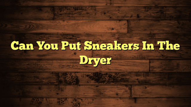 Can You Put Sneakers In The Dryer