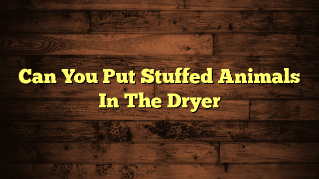 Can You Put Stuffed Animals In The Dryer