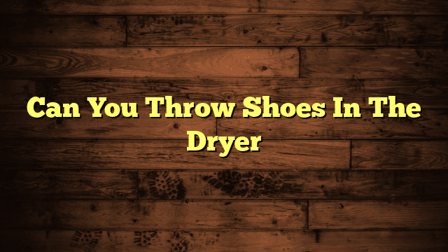 Can You Throw Shoes In The Dryer