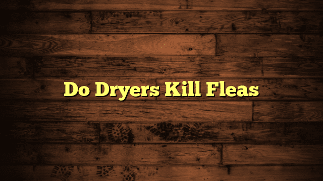 Do Dryers Kill Fleas