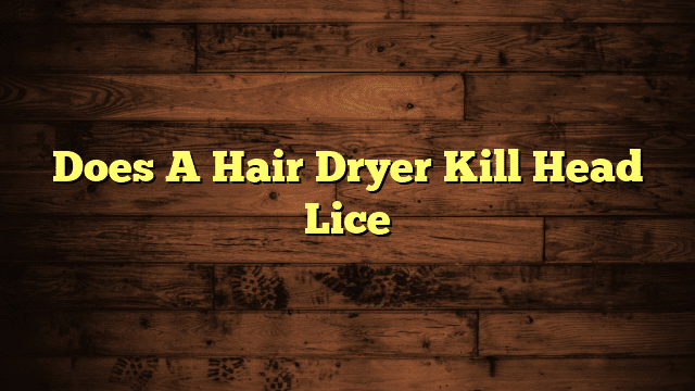 Does A Hair Dryer Kill Head Lice