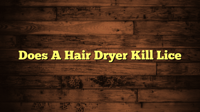 Does A Hair Dryer Kill Lice