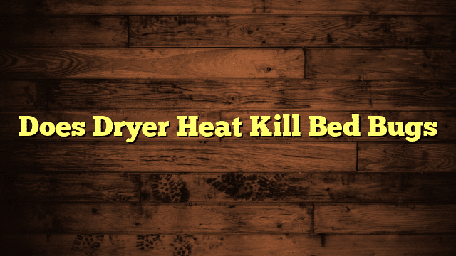 Does Dryer Heat Kill Bed Bugs