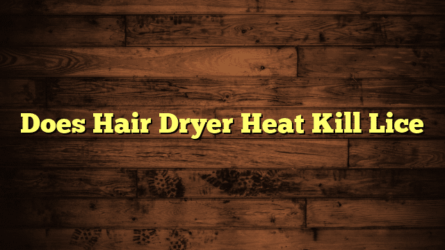 Does Hair Dryer Heat Kill Lice
