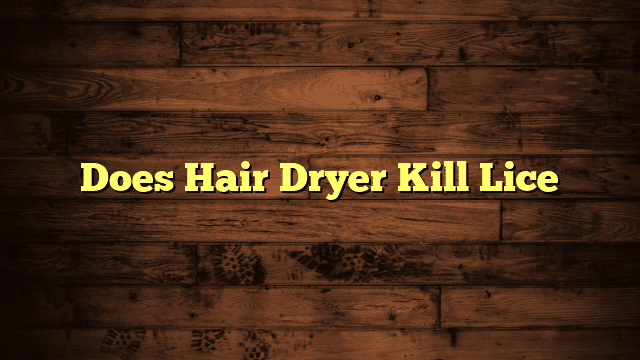 Does Hair Dryer Kill Lice