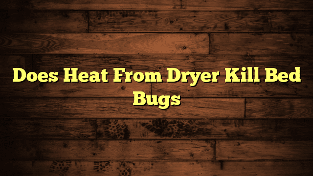 Does Heat From Dryer Kill Bed Bugs