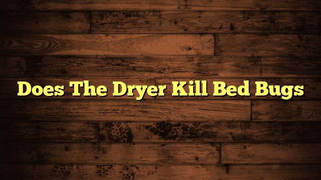 Does The Dryer Kill Bed Bugs
