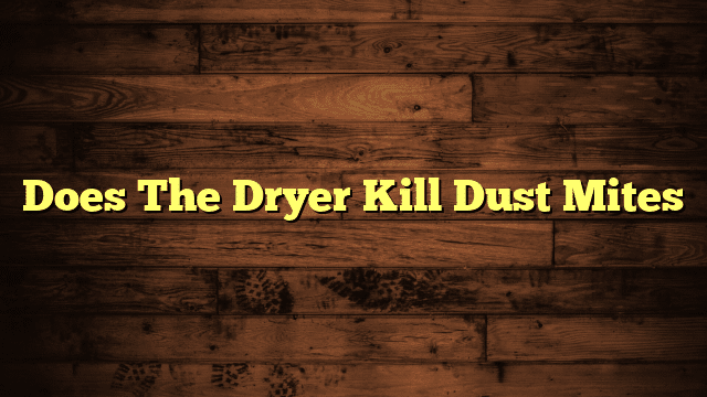 Does The Dryer Kill Dust Mites