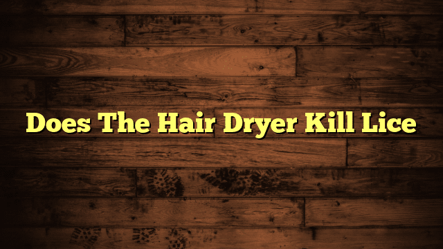 Does The Hair Dryer Kill Lice